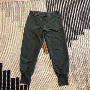 Patagonia organic cotton sweatpant jogger